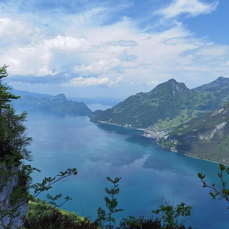 Solohike Mountainview Lejlighed Seelisberg Eksteriør billede