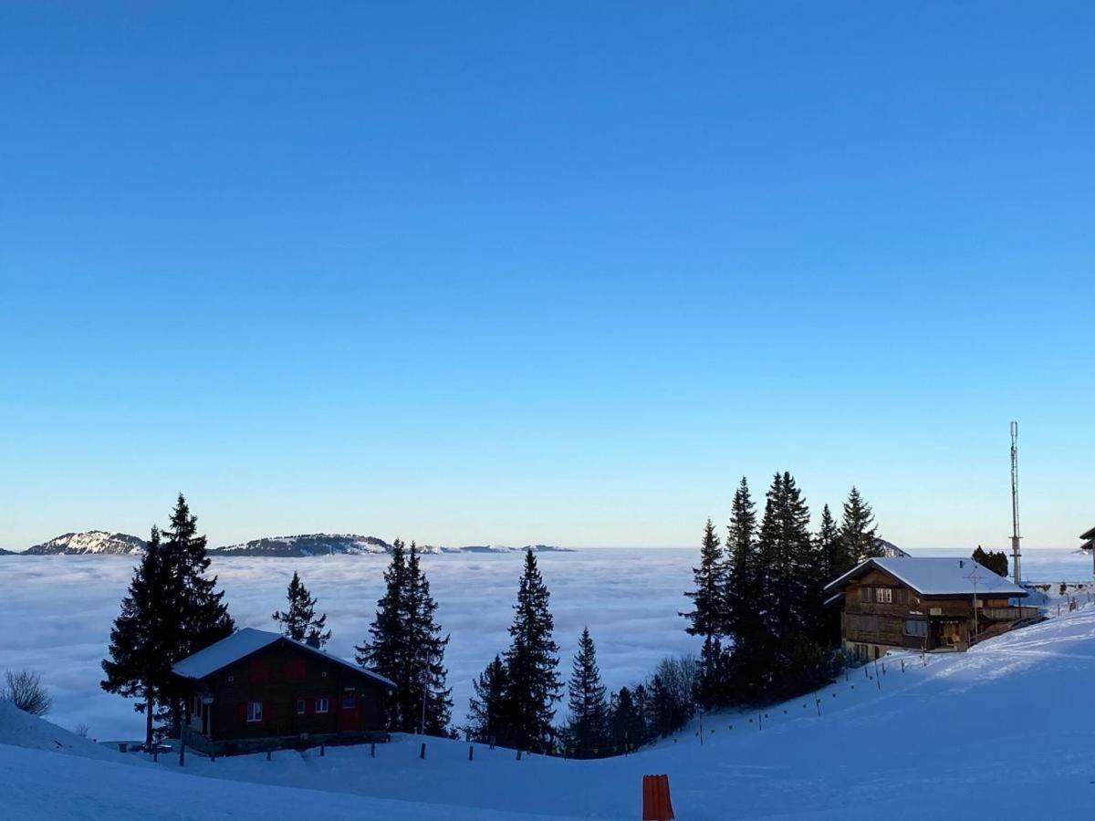 Solohike Mountainview Lejlighed Seelisberg Eksteriør billede